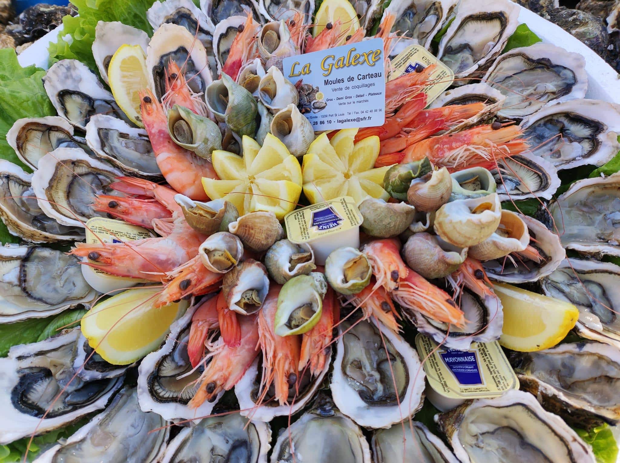 Récolte de moules : apiculteur marin travaillant sur l'eau Cultivateur inspectant une longue grappe de moules récoltées, suspendue à une structure métallique au-dessus de l'eau.